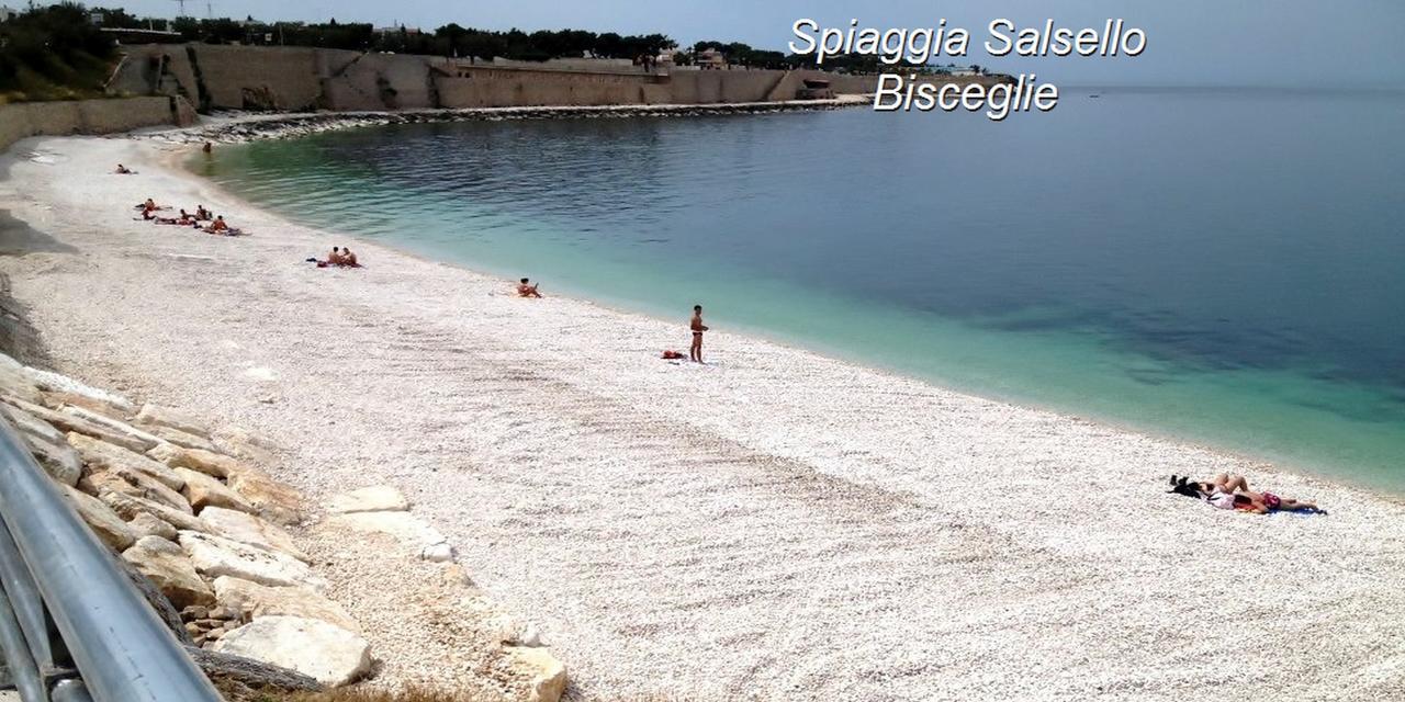 B&B La Baia Sea Rooms Bisceglie Exteriör bild