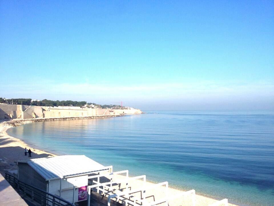B&B La Baia Sea Rooms Bisceglie Exteriör bild